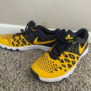 Michigan Wolverines Nike Train